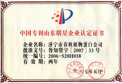 中国专利山东明星企业认定证书