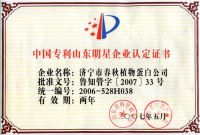中国专利山东明星企业认定证书